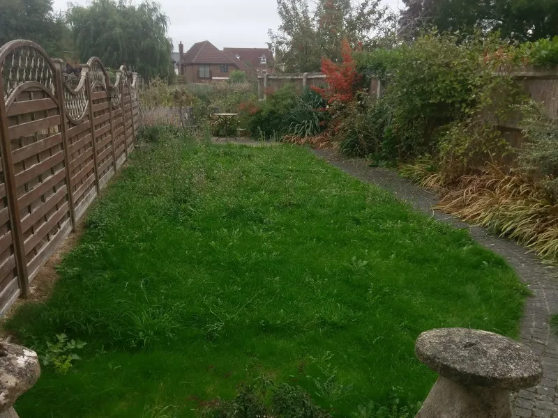 The Low-Maintenance, Bee-Friendly Garden — Before An overgrown lawn and beds with a concrete path leading down to a canal