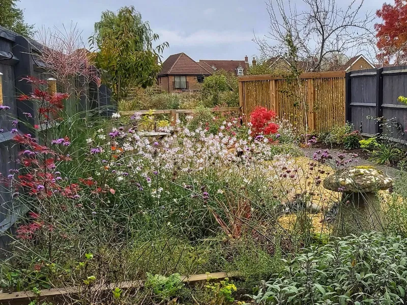 The Low-Maintenance, Bee-Friendly Garden — After The same garden, now with bursting flower beds and newly painted fence