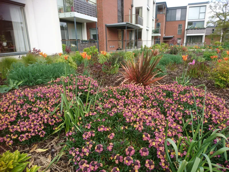 Wadswick Green Large-scale commercial garden project at Wadswick Green retirement village showing vibrant red and orange flowering plants in professionally designed beds