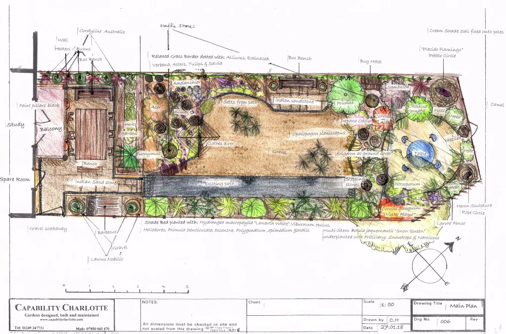 The drawing for the garden My drawing for the low-maintenance, bee-friendly garden