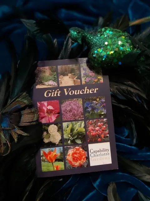 A Capability Charlotte gift voucher showing a variety of flowers on the cover