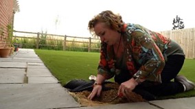 On Me Knees Exploring the Horrors Beneath Plastic Grass for BBC News